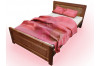 Кровать «Грин Дэй»